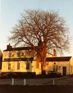 The Prince of Wales Pub